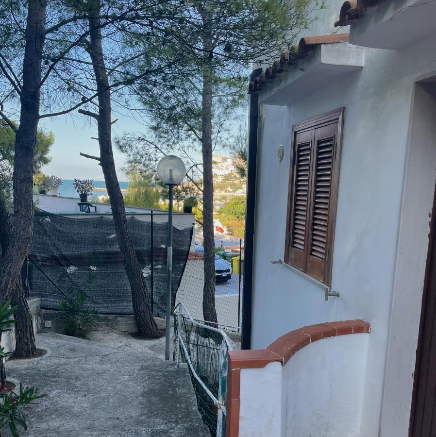 Residence Montepucci Пескичи Экстерьер фото