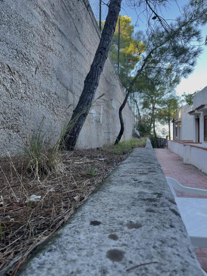 Residence Montepucci Пескичи Экстерьер фото